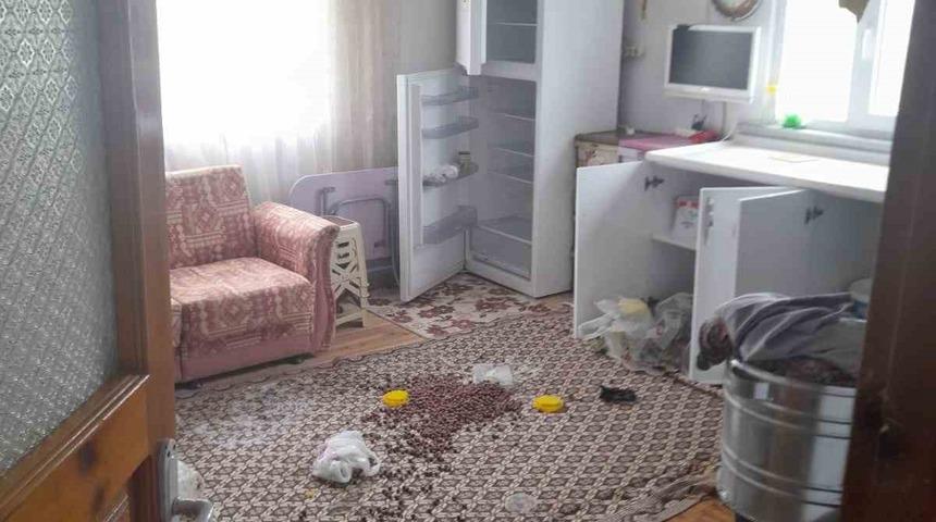 Gümüşhane’de ayılar yayla evlerine dadandı