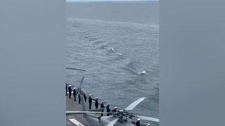 İstanbul Boğazı'nda TCG Anadolu'ya eşlik eden yunus balıkları görsel şölen oluşturdu