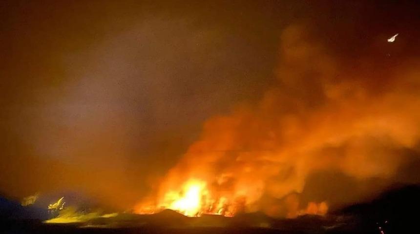 Van&rsquo;da sazlık alanda yangın