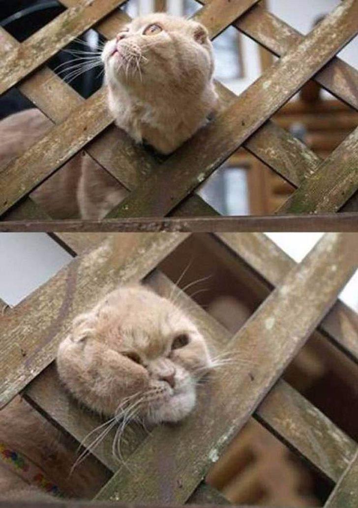 Kötü günün böylesi! İşte insanların sınırlarını zorlayan o anlar G4