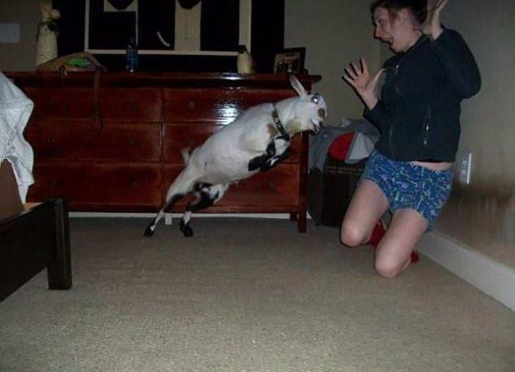 Kötü günün böylesi! İşte insanların sınırlarını zorlayan o anlar G5