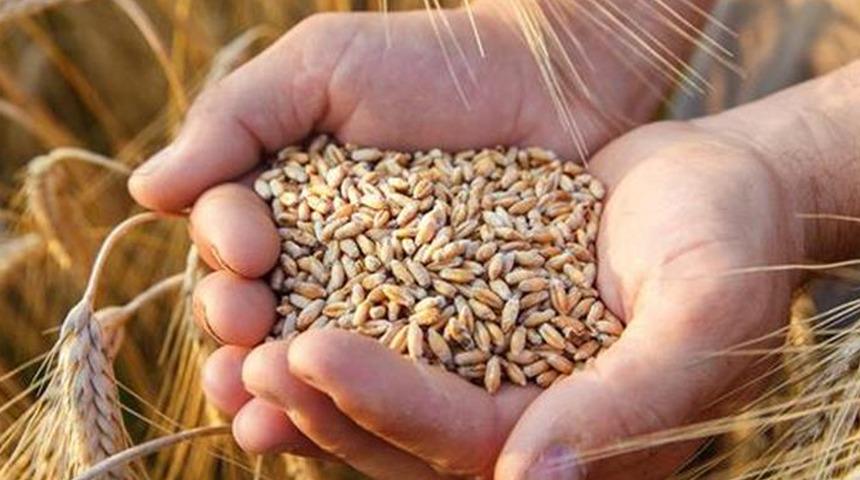 Gümrük vergisi yeniden 0'dan yüzde 130'a çıkıyor! Resmi Gazete'de 'buğday' kararı