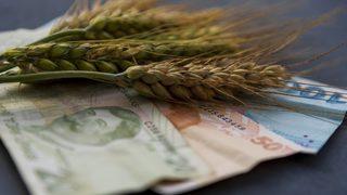 Buğday ithalatında yeni karar: Yeniden yüzde 130'a çıkıyor! 1 Mayıs'tan itibaren geçerli