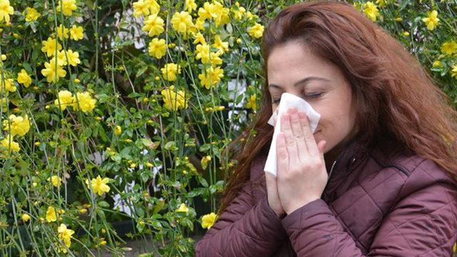 Baharla birlikte kabus geri döndü! Vatandaşlar dikkat: Grip sanılıyor ama... 