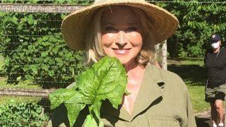 81 yaşındaki Martha Stewart'ın yaşlanma karşıtı bakımı! Genç görünmenin yolu oldukça basit