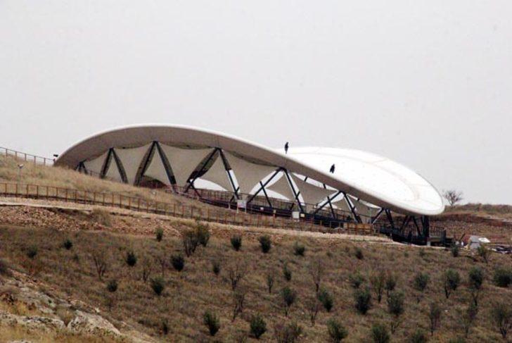 2017'nin en şaşırtıcı keşfi seçildi… G1