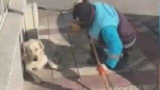 Sokak köpeğine şarkı söyleyen çöpçü sosyal medyayı salladı