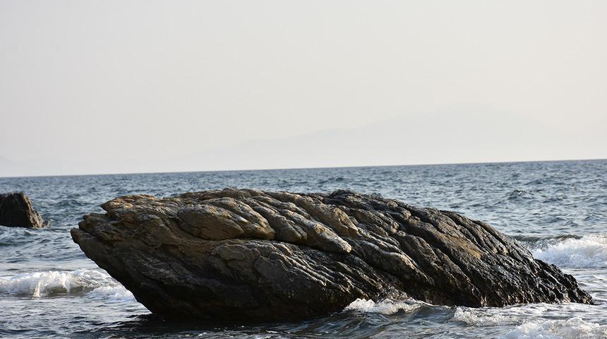 Dünyanın en ücra yerlerinden Gough Adası’nda çalışacak biri aranıyor