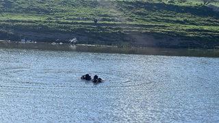 Baraj gölünde kahreden son! En son görüldüğü noktada...