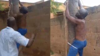 Kız kardeşinin kocası tarafından sürekli darp edildiğini iddia etti! Damadı ağaca bağlayıp cezalandırdı