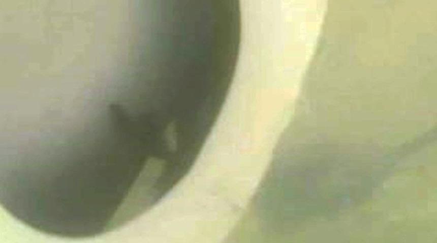 Munzur Çayı'na uçmuştu: Su altı kamerasıyla kayıp otomobil bulundu! Kayıp 3 genç ise...