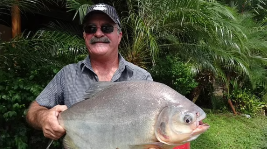 Günlerce aradılar! Avustralya’da balık tutarken kaybolan adamın cansız bedeninin parçaları timsahın midesinden çıktı