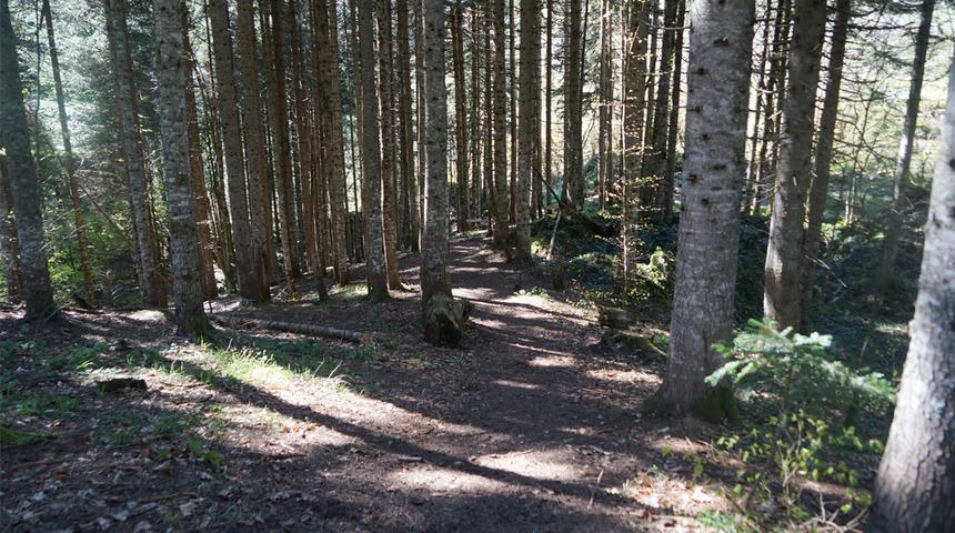 Gizemli kayboluş! Mağarayı görmek için İstanbul'dan gelmişti! Kafile arasındaki o iddia...