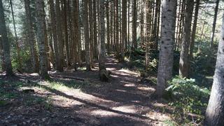 Gizemli kayboluş! Mağarayı görmek için İstanbul'dan gelmişti! Kafile arasındaki o iddia...