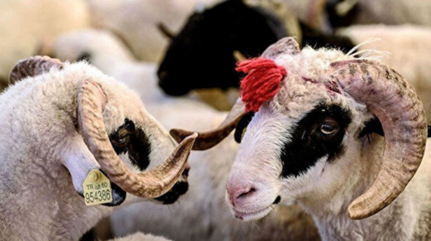 Kurban Bayramı ne zaman, ayın kaçında? Kurban Bayramı tatili kaç gün? 2023 dini takvim 