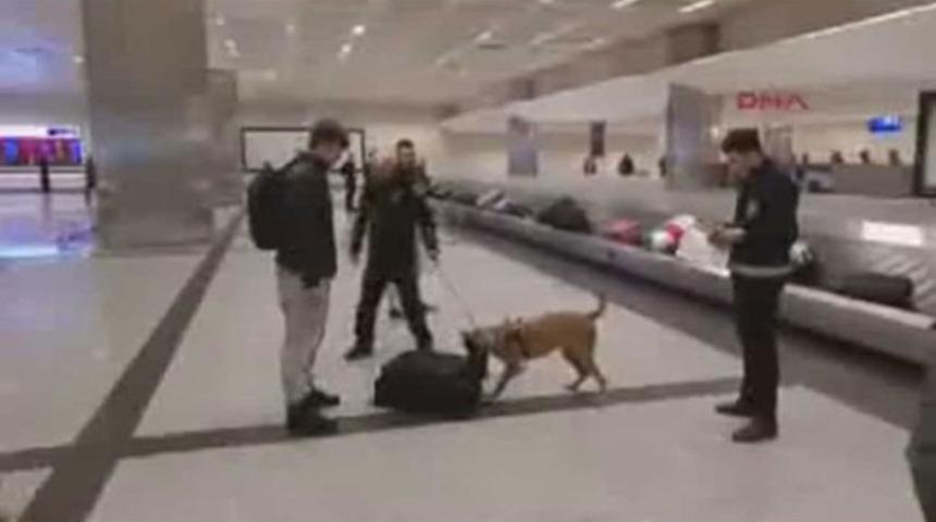 Hollandalı yolcuların &ccedil;antaları havalimanında k&ouml;peklerle arandı