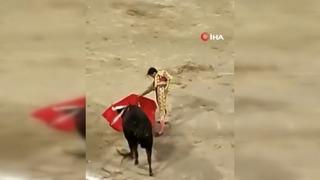 Boğa saldırısına uğrayan matador hayatının şokunu yaşadı! Metrelerce havaya fırlayıp yere yığıldı