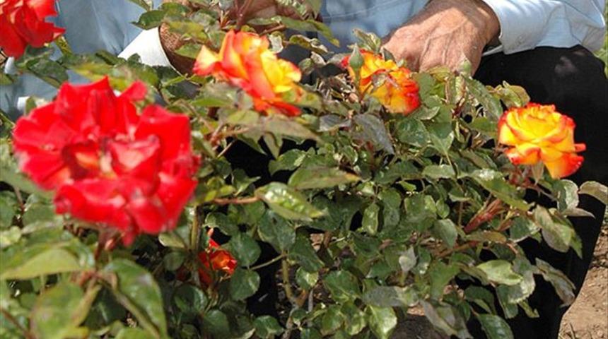 HIDIRELLEZ DUASI TÜRKÇE: Hıdırellez dilek duası nasıl edilir, ne zaman yapılır?