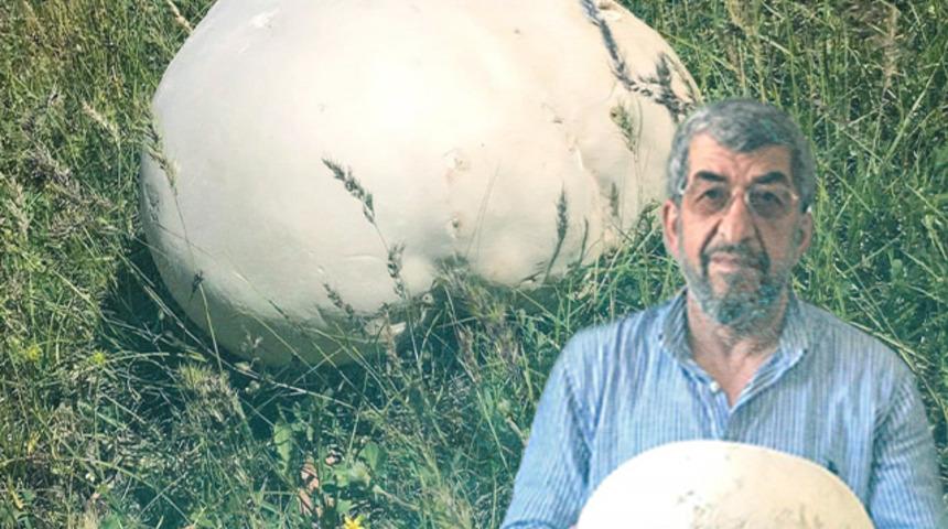 Elazığ'da doğada gezintiye çıkan köylüler buldu! Şaşkınlıklarını gizleyemediler: "İlk defa gördük"