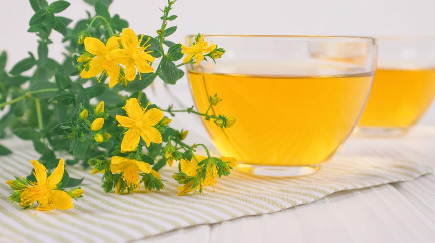Kantaron çayı faydaları nelerdir, zararı var mı? Sarı kantaron çayı nasıl yapılır, tansiyonu yükseltir mi?