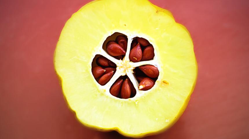 Ayva çekirdeği jeli faydaları nelerdir, nasıl kullanılır? Ayva çekirdeği jeli ne işe yarar, kaç gün saklanır? 