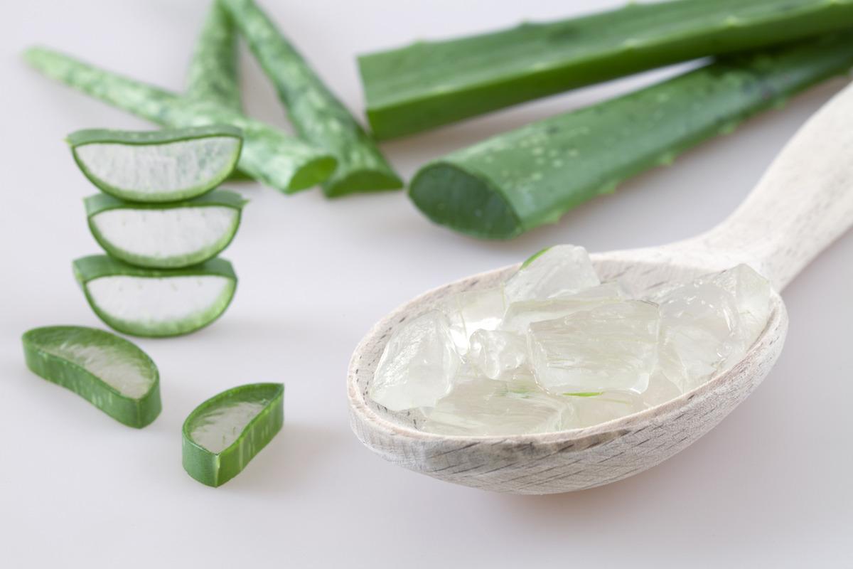 reicht aloe vera gel als gesichtscreme DR. SCHELLER ALOE VERA GEL main image 0