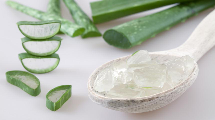 Aloe vera jeli faydaları nelerdir, saça ve yüze nasıl kullanılır? Aloe vera jeli ne işe yarar, nasıl kullanılır?	