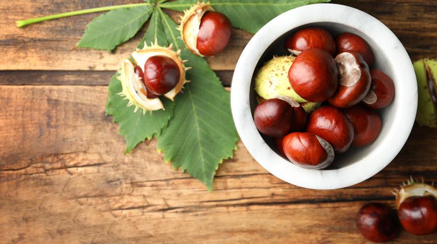 At kestanesi balsamı faydaları nelerdir, yüze sürülür mü? At kestanesi balsamı ne işe yarar, basura iyi gelir mi?	