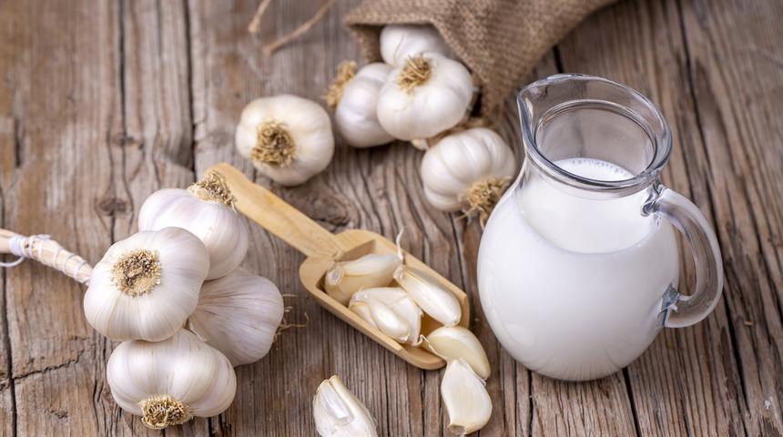 Sarımsaklı sütün faydaları nelerdir, ne işe yarar? Sarımsaklı süt nasıl yapılır, öksürüğe iyi gelir mi?