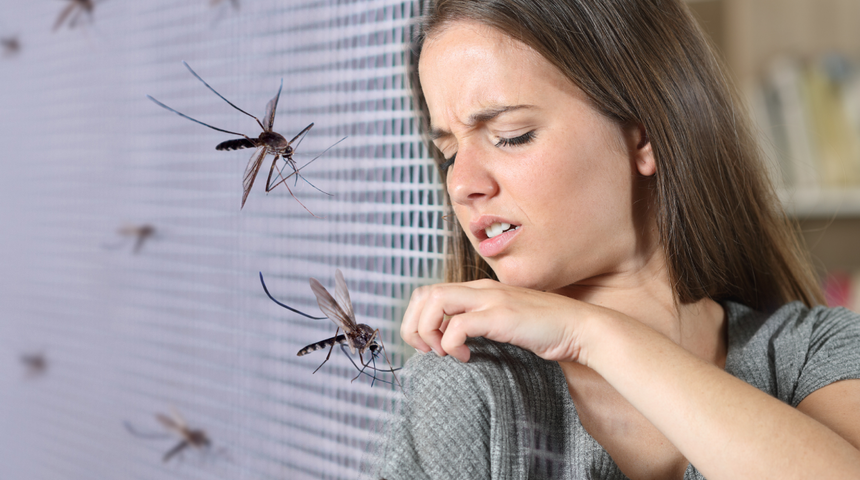 Evinizdeki sineklerden tamamen kurtulmanızı sağlayacak doğal sinek kovucu y&ouml;ntemler