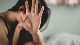 'Hayvan terbiyecisi' yalanıyla genç kıza cinsel saldırı! Anlattıkları dehşete düşürdü: 'Tecavüzü başaramayınca...'