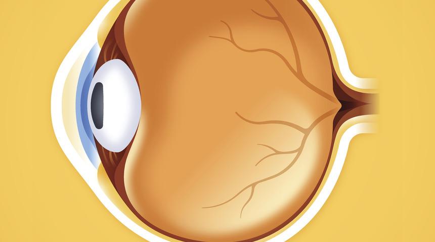 G&ouml;rme kaybı 5-10 saniye bile s&uuml;rse ciddiye alın!