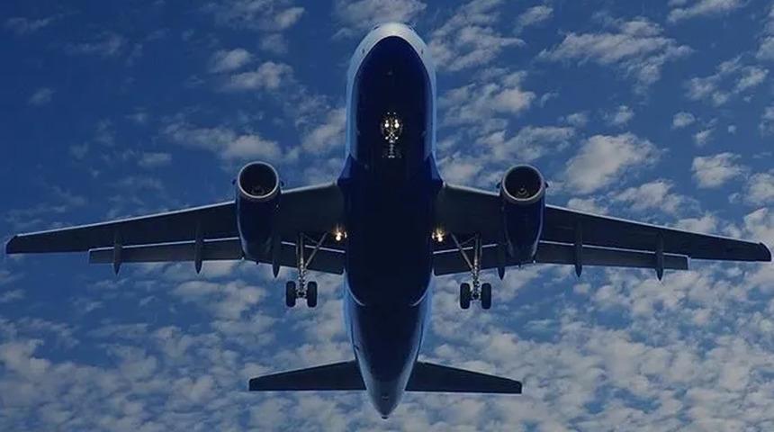 Hindistan'da bir garip olay: Yolcu uçağında akrep paniği!