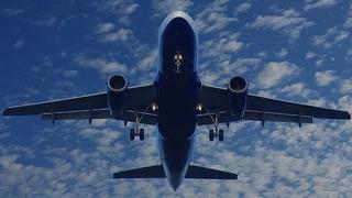 Hindistan'da bir garip olay: Yolcu uçağında akrep paniği!