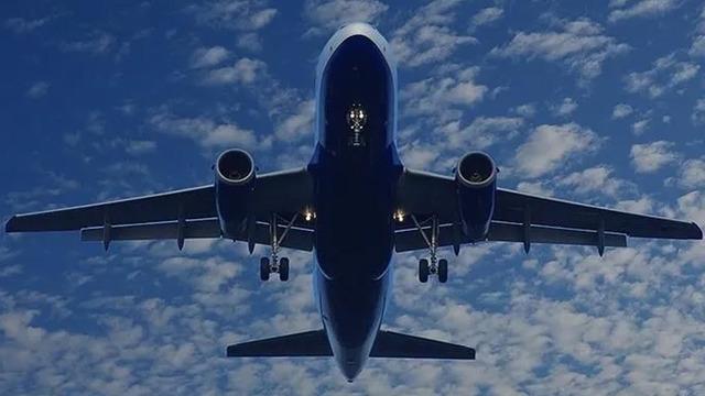 Hindistan'da bir garip olay: Yolcu uçağında akrep paniği!