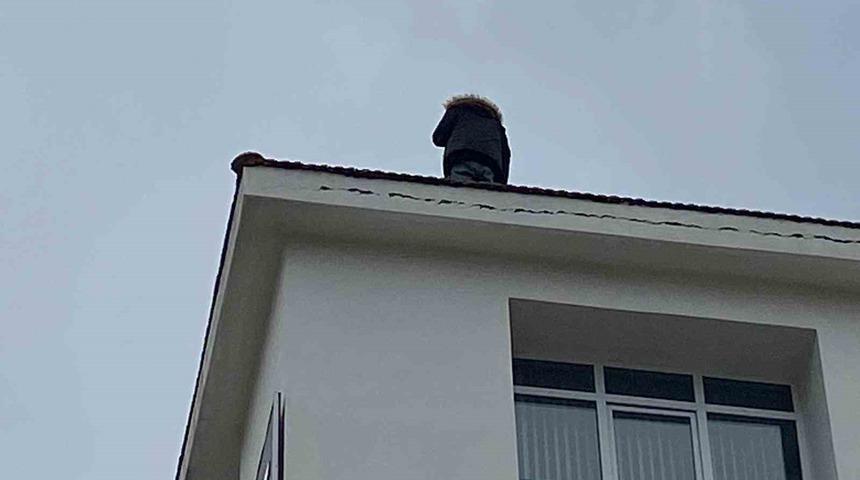 Çatıda gören şaşkına döndü! Branda açıp önlem aldılar...