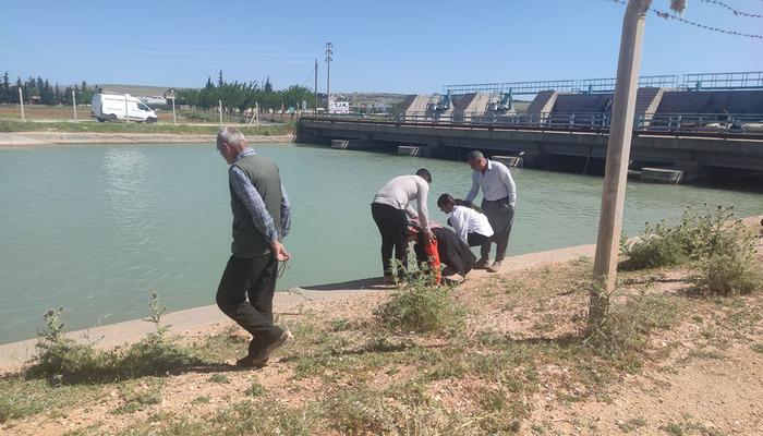 Feci kazada bir aile yok oldu! Kahreden bir haber daha