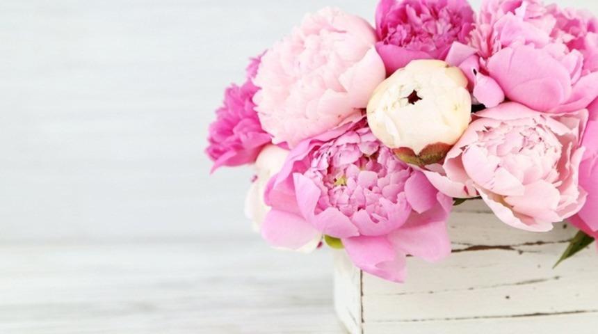 Efsaneye dayanan şifa: Ayı G&uuml;l&uuml;