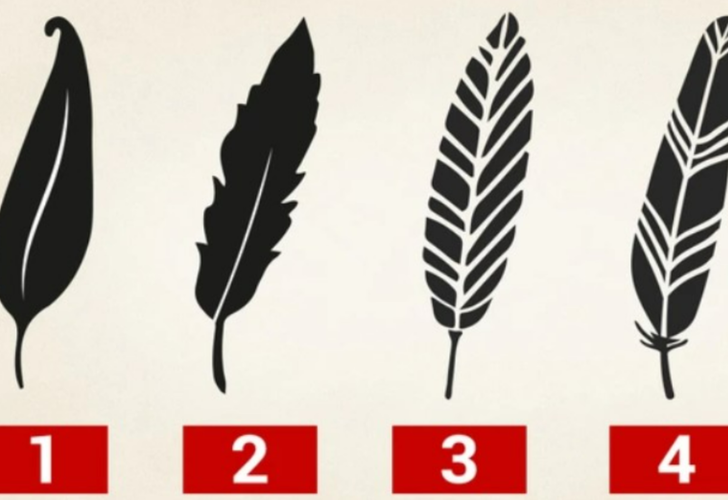 Resimde en beğendiğiniz tüy karakterinizdeki gizli gücü ortaya çıkarıyor