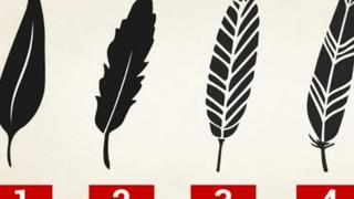 Resimde en beğendiğiniz tüy karakterinizdeki gizli gücü ortaya çıkarıyor