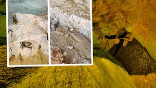 3 milyon yaşında olduğu tahmin ediliyor! Uydu görüntülerini gezerken baktık ki... 