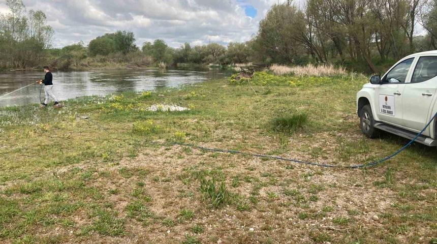 Kızılırmak’ta üvez sineği ile etkin mücadele yapılıyor