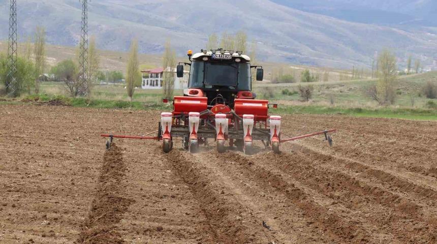 Çayırlı’da ayçiçeği ekimi başladı