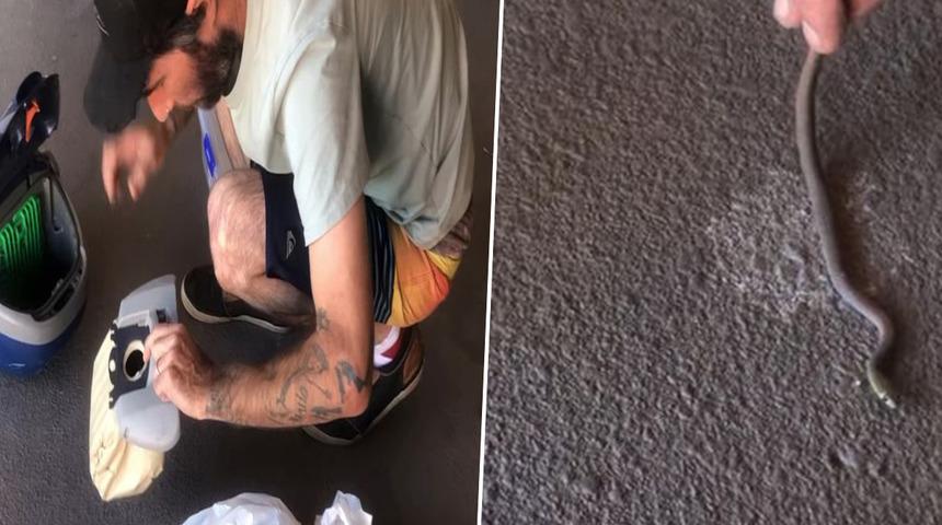 Bulduğu çözüm şaşkına çevirdi! Salonunun ortasında yılanla karşı karşıya gelince elektrikli süpürgeyle kendisini savundu