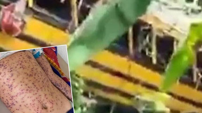 Öğrencileri taşıyan okul servisi 50 metrelik uçurumdan düştü! Otobüsün içindekiler arı saldırısına uğradı: 4 kişi hayatını kaybetti