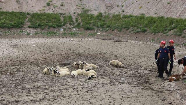 Büyükşehir İtfaiyesi’nden bataklıkta 2 saatlik koyun kurtarma operasyonu