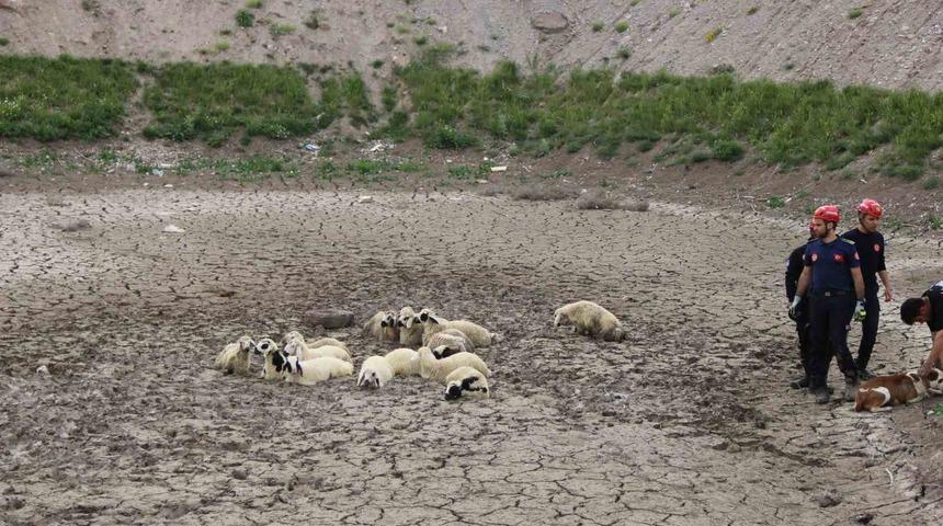 Büyükşehir İtfaiyesi’nden bataklıkta 2 saatlik koyun kurtarma operasyonu