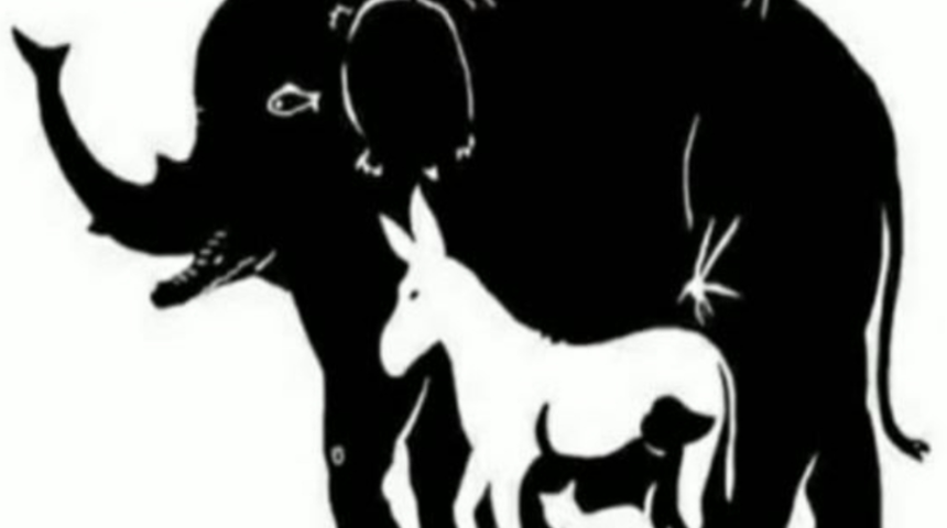 Resimde ka&ccedil; hayvan var? B&uuml;t&uuml;n hayvanları yalnızca y&uuml;ksek IQ'ya sahip olanlar g&ouml;rebiliyor