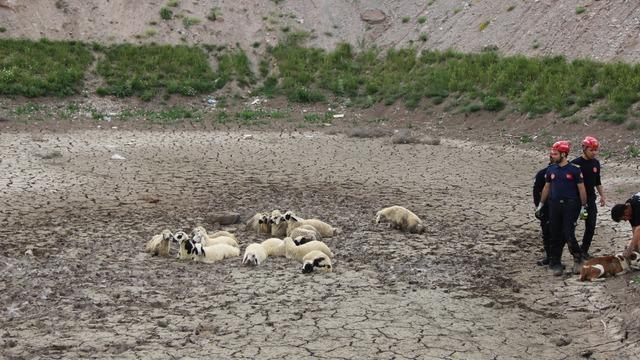 Kayseri'de bataklıkta mahsur kalan 30 koyun kurtarıldı