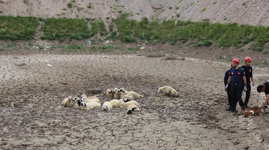 Kayseri'de bataklıkta mahsur kalan 30 koyun kurtarıldı